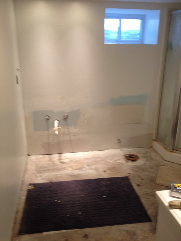 Bathroom Before